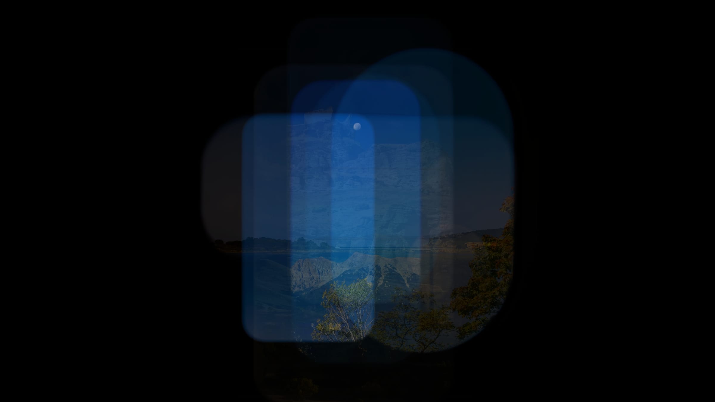 Search the Archive