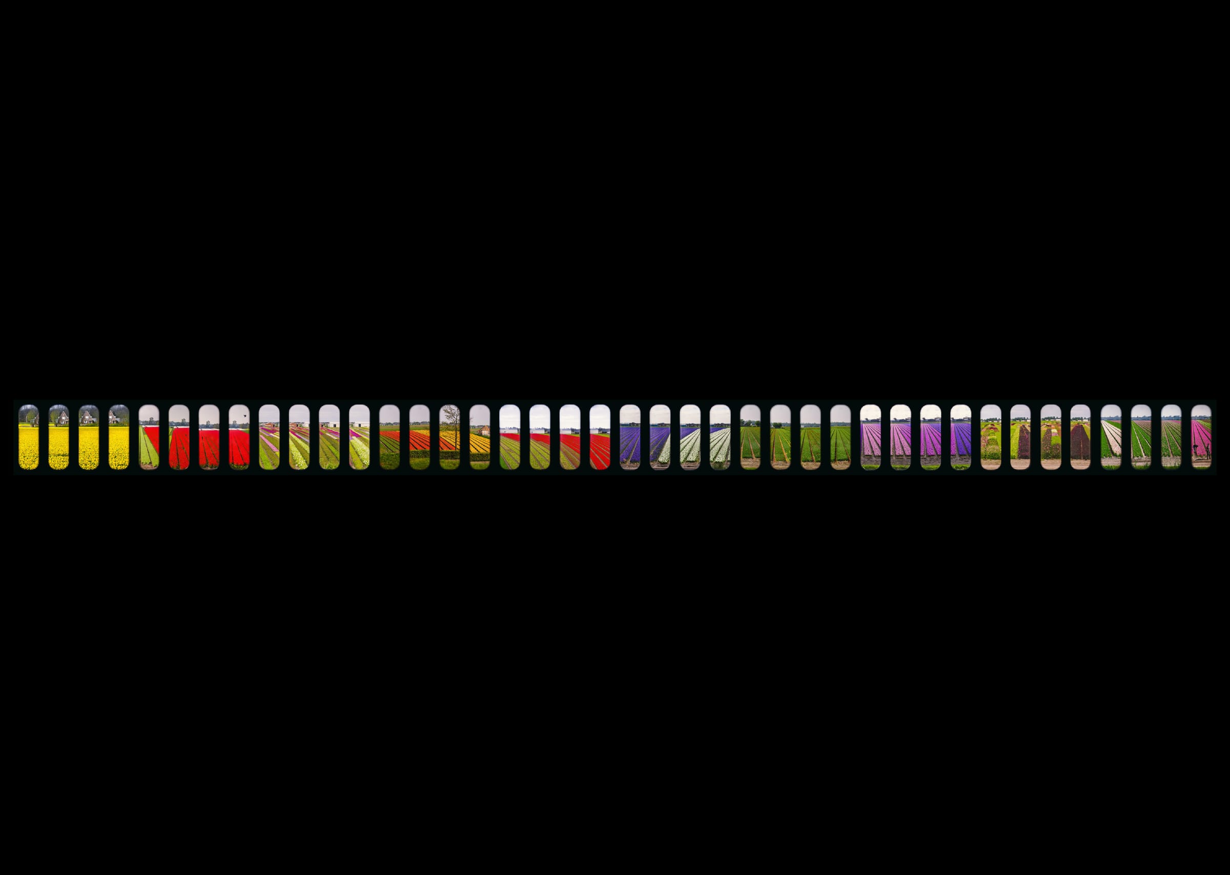Linear Panoramas