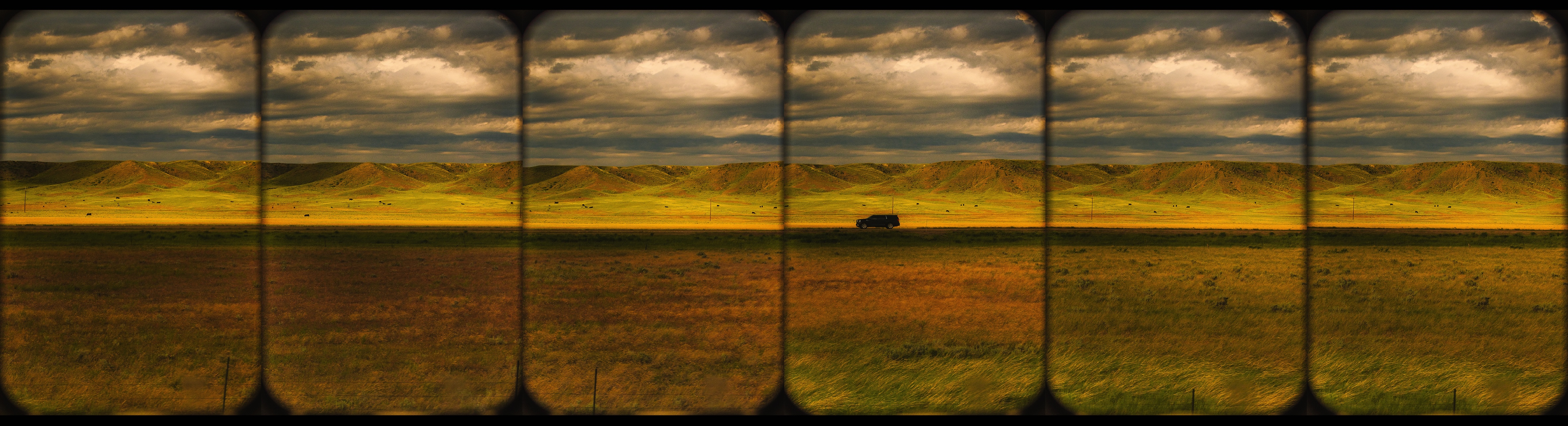 Montana Prairie