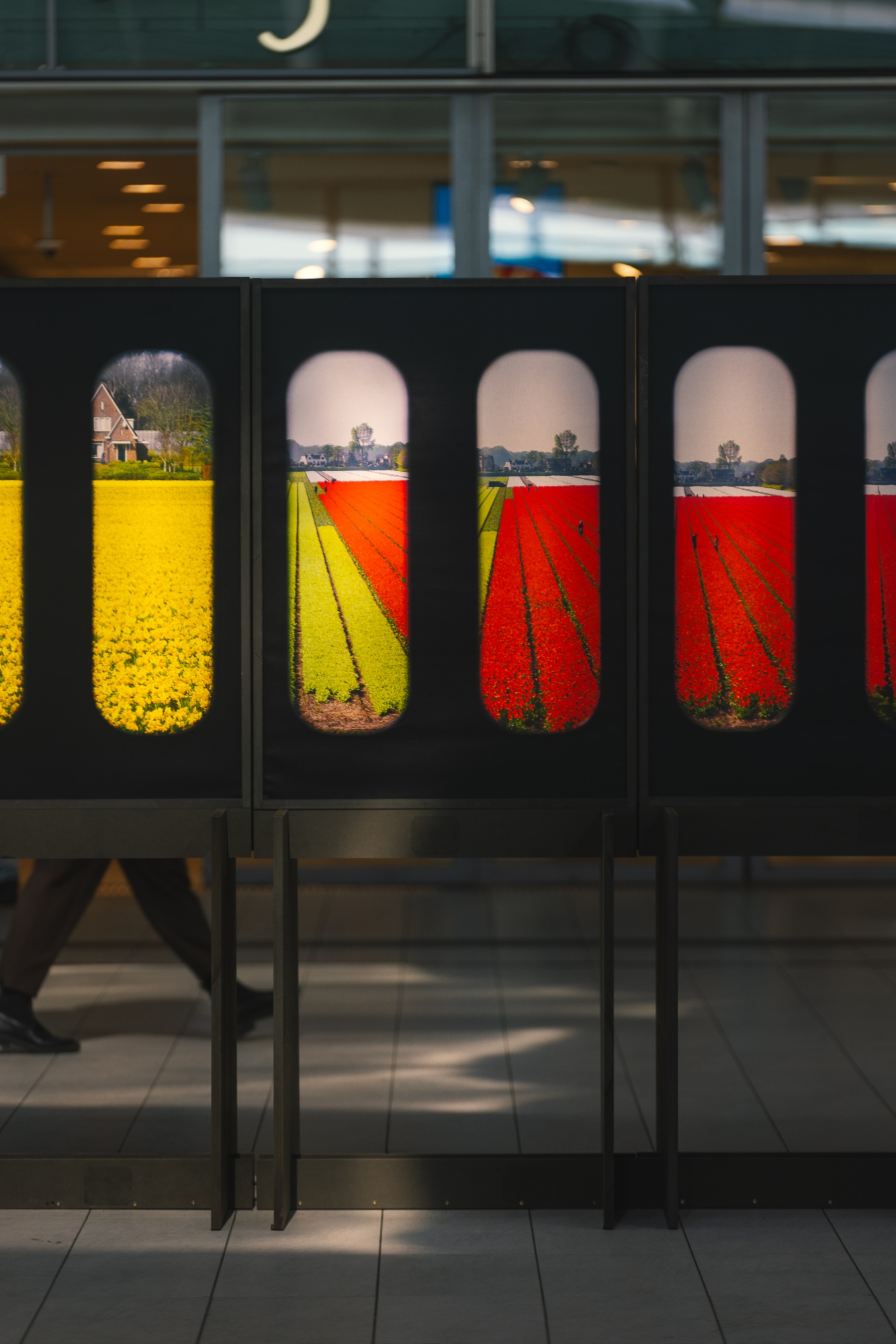 Field of View at Utrecht Centraal